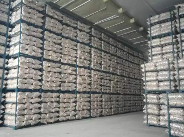 建一個(gè)500噸大蒜冷庫(kù)一平米需要多少錢