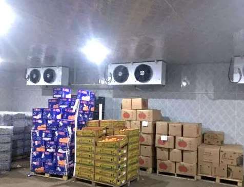 建立一個冷庫有多少錢