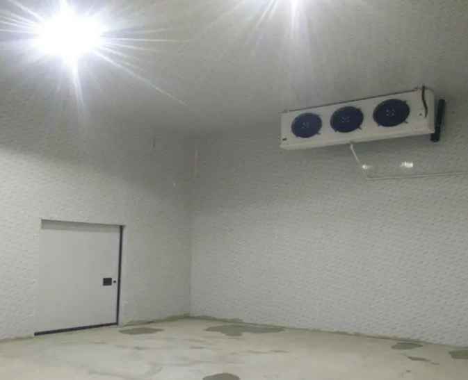 夏天建一個(gè)100平米雪糕冷庫(kù)要多少錢